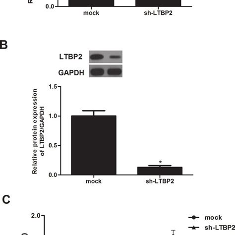 Knockdown Of Ltbp2 Inhibits The Proliferation In Thyroid Carcinoma