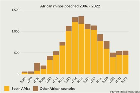 Neushoorns Gestroopt In Rhino Club