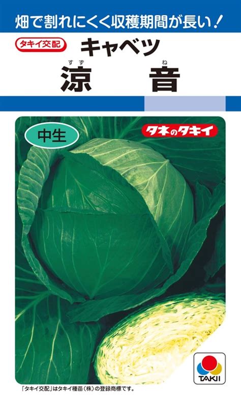 タキイ種苗 キャベツ種子 涼音 Aca04k 【取り寄せ注文】 葉菜類キャベツ 小林種苗株式会社