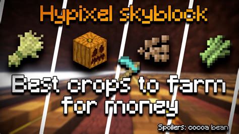 Best Crops To Farm Money In Hypixel Skyblock Milion Coins An Hour