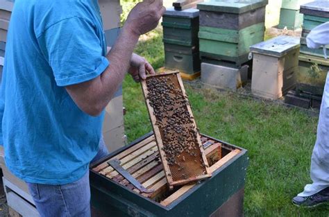 Fd5 Puget Sound Beekeepers Association