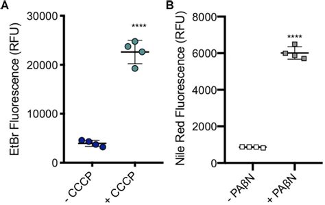 Frontiers Flow Cytometric Analysis Of Efflux By Dye Accumulation