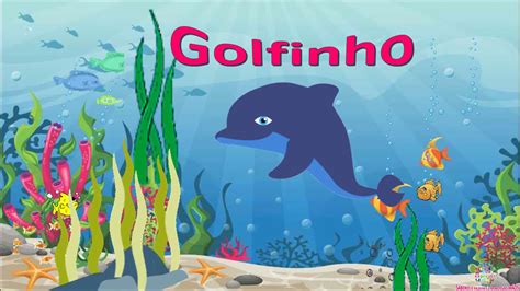 Golfinho Texto Informativo Atividade YouTube