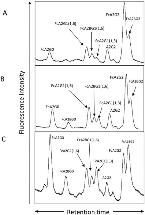 The glycosylation of anti-gal IgG is altered with the development of ...