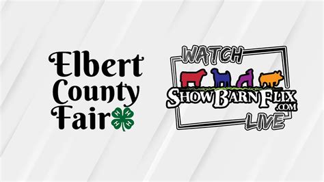 4 H Market Hog Show Elbert County Fair 2024 YouTube