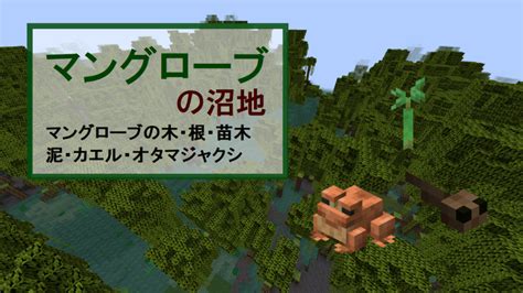 【マイクラ】マングローブの沼地の特徴・探し方、新ブロック・クラフト方法を紹介 Mineblog