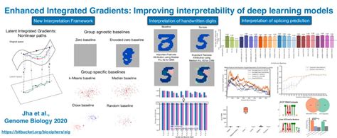 RNA Processing - RNA Innovation