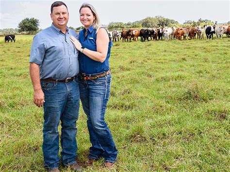 Crossbreeding Cattle Creates A Winning Formula