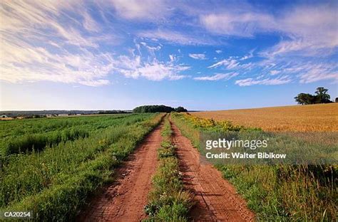 Generic Farm Photos And Premium High Res Pictures Getty Images