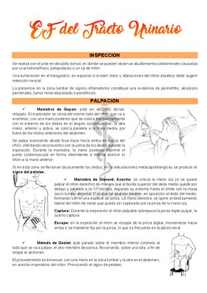 Examen F Sico Del Cuello Y Linf Ticos Del Cuello Semiolog A M Dica