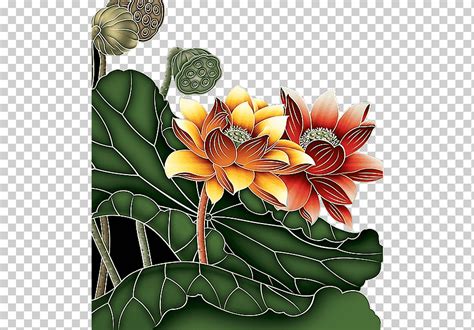 Nelumbo Nucifera Arte Pintura Dibujo Creativo Loto Pintado A Mano