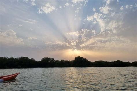 Al Thakira Reserve Kayak Tour From Doha Book At