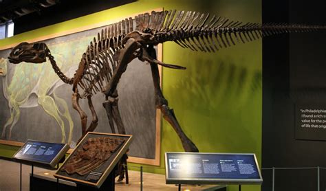 Descubriendo los misterios de la tafonomía del fósil de Hadrosaurus