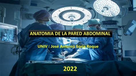 Anatom A De La Pared Abdominal Jos Soria Udocz