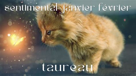 TAUREAU BEAUCOUP DE MOUVEMENTS sentimental janvier février YouTube