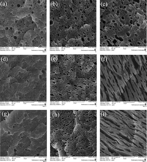 Sem Micrographs Of The Etched Cryogenic Fracture Surfaces Of A Pe