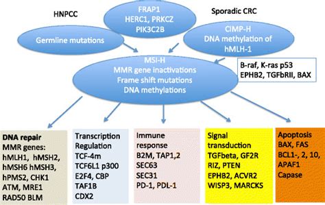 Microsatellite Instability Is Central In Colorectal Cancer