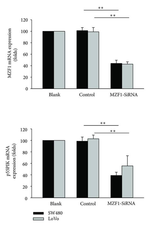 P55PIK Expression Is Transcriptionally Activated By MZF1 In Human Colon