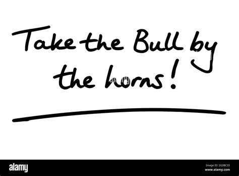 Take the Bull by the horns! handwritten on a white background Stock ...