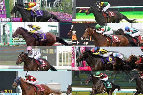 【有馬記念】gi馬8頭集結！クリスマスイブ決戦を制すのは？タスティエーラは7枠13番、スターズオンアースは8枠16番 枠順確定｜競馬ニュース