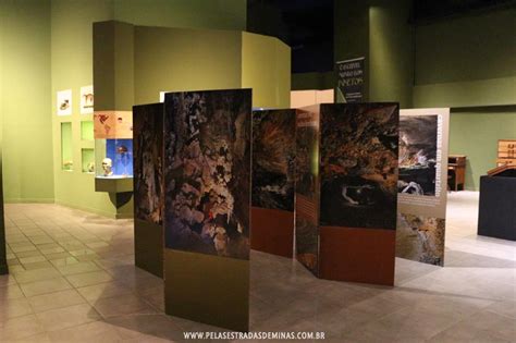 Museu de Ciências Naturais da PUC Minas em Belo Horizonte Pelos