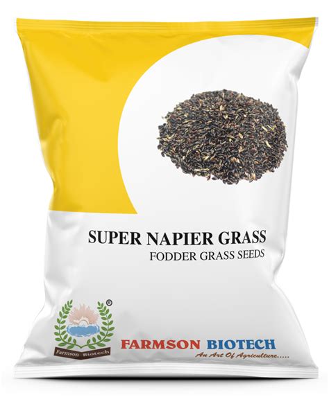 Super Napier Grass Seeds High Yielding Fodder Crop