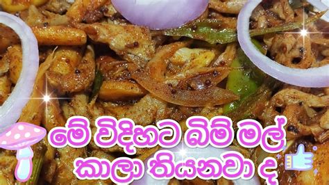 මේ විදිහට බිම් මල් හැදුවොත් හැමදාම කයි 😋😋😋 Youtube