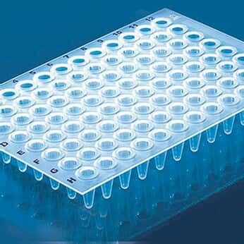 Brandtech Pcr Plates