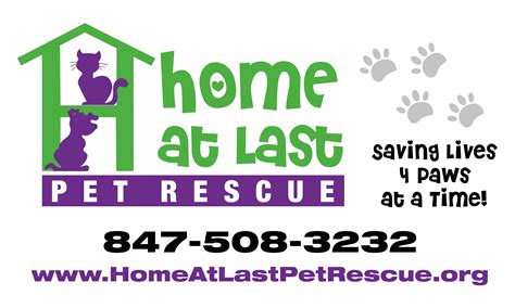 Pets for Adoption at Home At Last Pet Rescue, in Hoffman Estates, IL | Petfinder