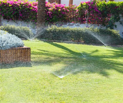 5 Tips For Watering Your Lawn