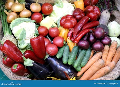 Various Freshly Picked Harvested Vegetables Stock Image Image Of