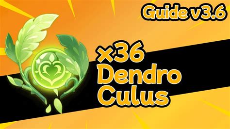 Dendroculus Location Sumeru Genshin Impact Youtube