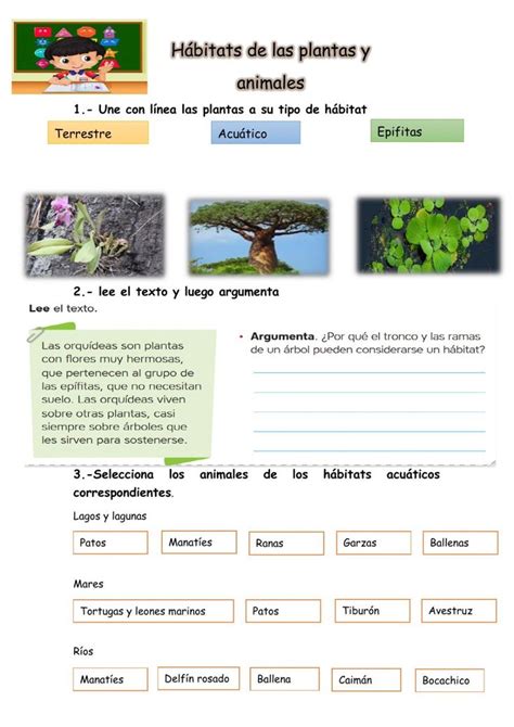 Hábitats de las plantas y animales worksheet