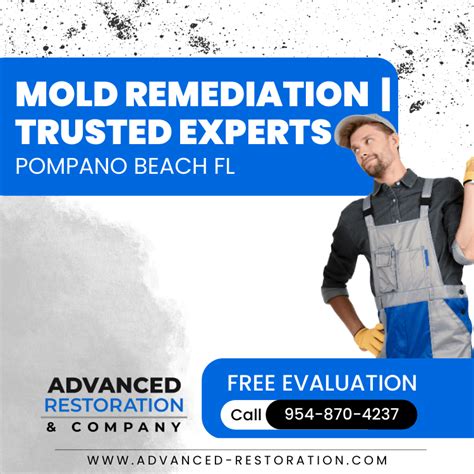 Mold Remediation Pompano Beach Fl Trusted Experts Arc