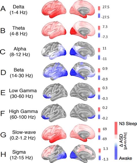 Cortical Reconstructions Of The Neural Sources For Observed Oscillatory