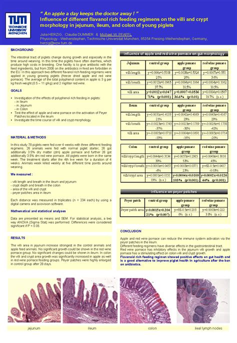 Posterboard L On Gene Quantification Info