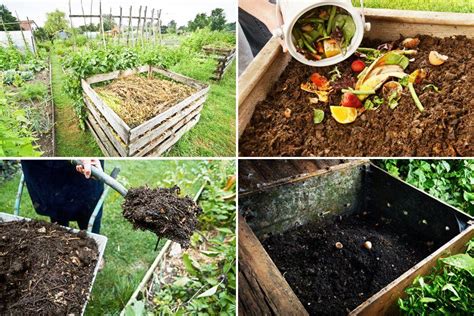 Compost 5 règles importantes pour bien recycler ses déchets organiques