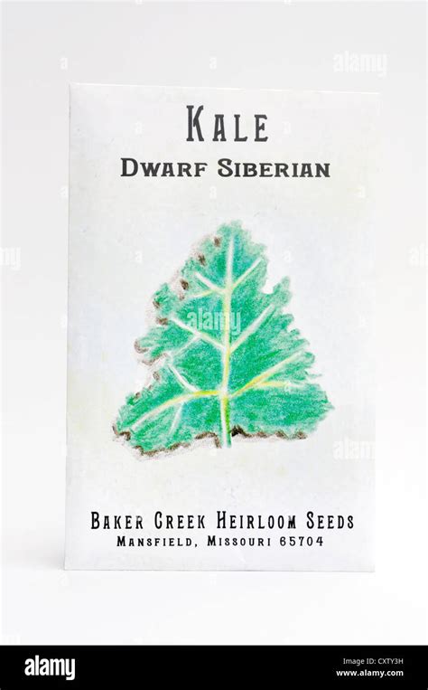 Seed Packet Siberian Dwarf Kale Stock Photo Alamy