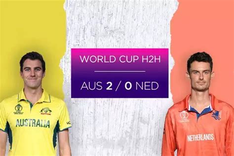 Australia vs Netherlands World Cup 2023 16 सल बद ऑसटरलय और