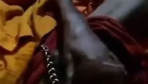 Dasi Baba Free Solo Man Porn Video A XHamster