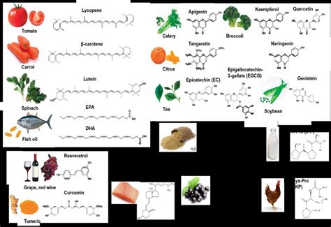 Overview Of Food Derived Bioactive Compounds Being Investigated As