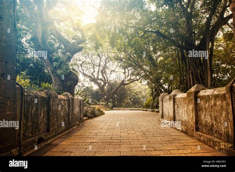 Fort Canning Park In Singapore Stock Photo Alamy