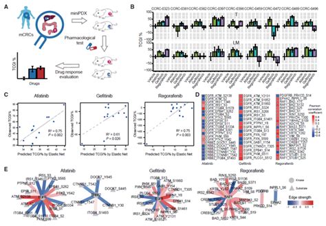 Cancer Cell我国科学家首次获得转移性大肠癌的多组学数据 知乎