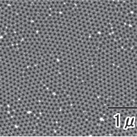 SEM Image Of Self Ordered Anodic Porous Alumina Obtained From Al4 2