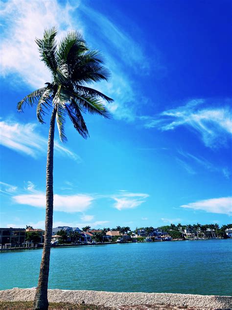 73 best Marco Island images on Pholder | Fishing, Pics and Kayaking