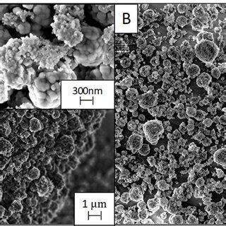 Sem Micrographs Of Pd M P Coating Before A And After B The Five Use