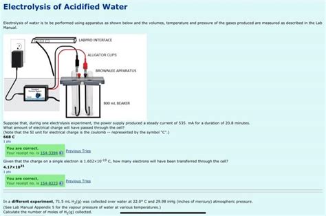 Solved Electrolysis Of Acidified Water Electrolysis Of Water Chegg