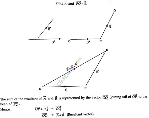 Motion In A Plane Class 11 Notes Physics Chapter 4 Learn Cbse