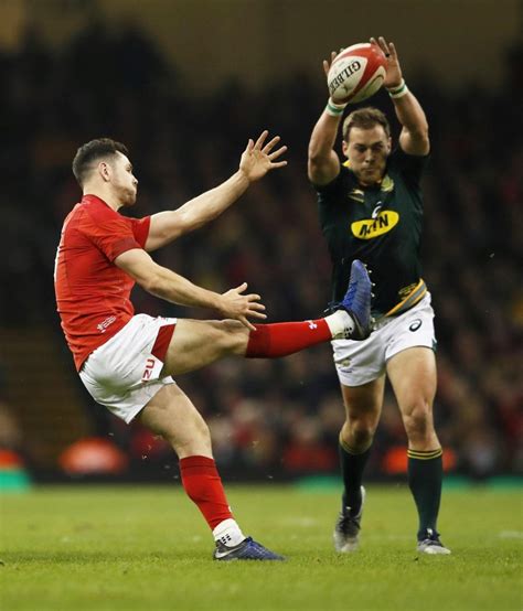 Williams Gets Scrum-Half Nod For Wales - Complete Sports