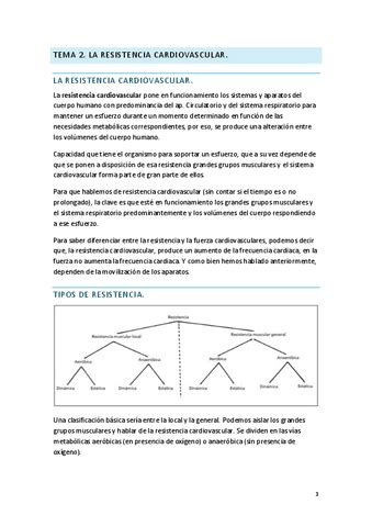 Tema Preparacion Fisica Pdf